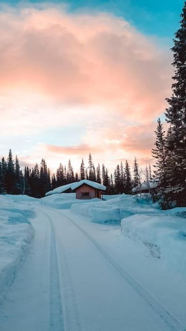 Cozy Mountain Cottage With Beautiful Views & Sauna Beitostolen Екстериор снимка